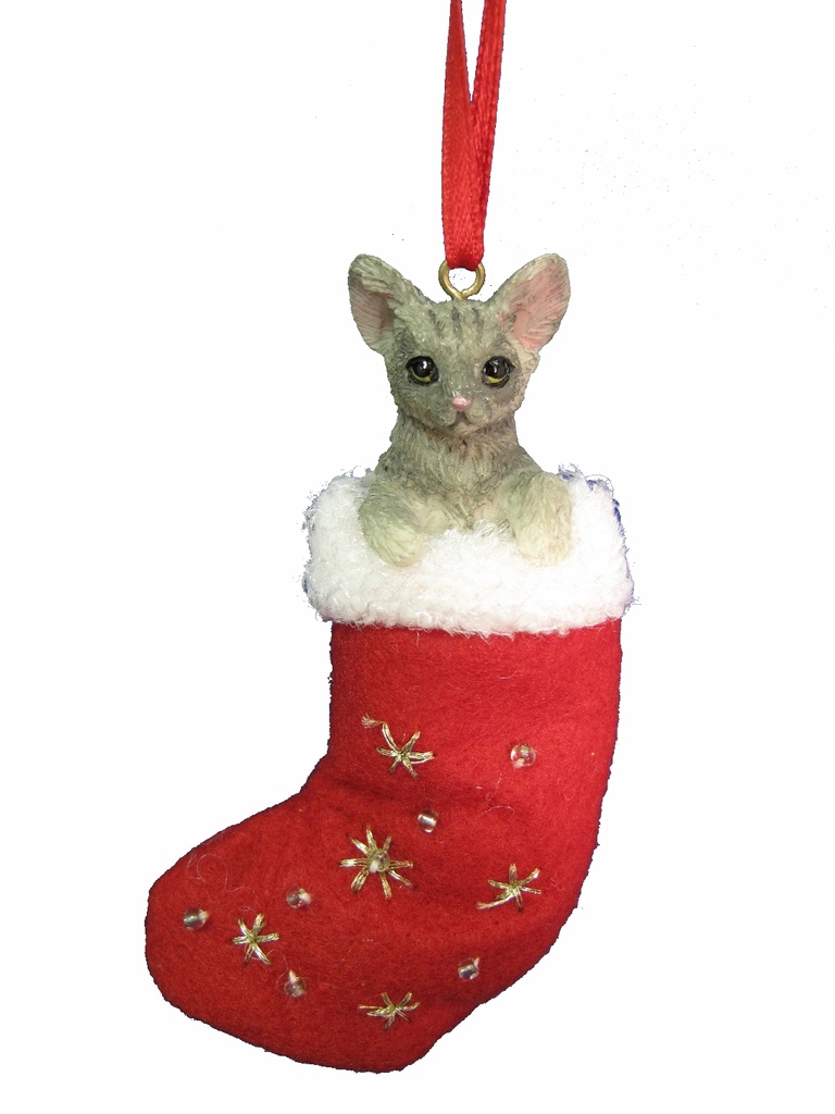Tabby, Silver ornament