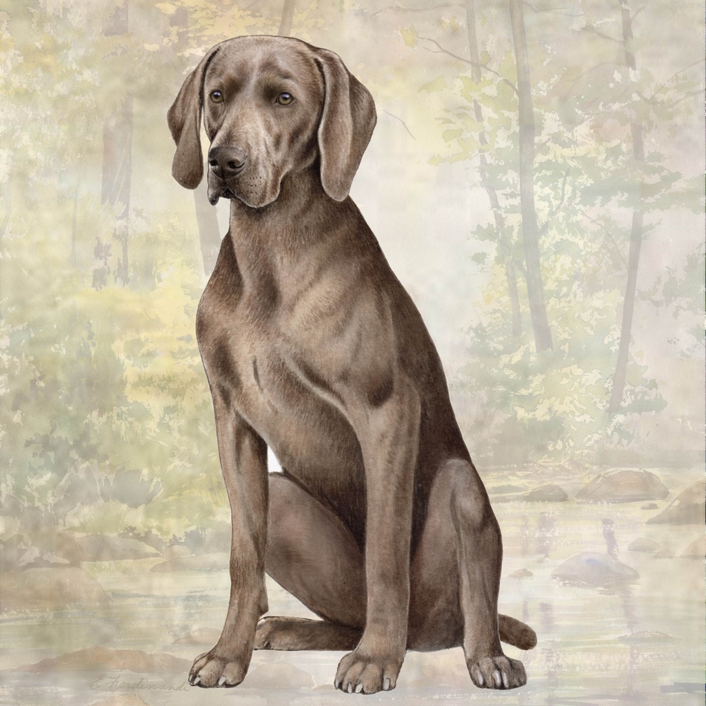 Weimaraner  Tote, foldable
