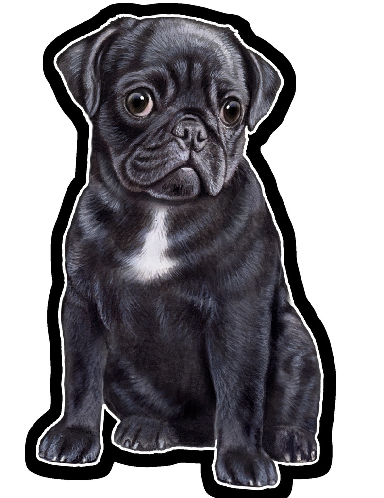 Pug, Black Sticker