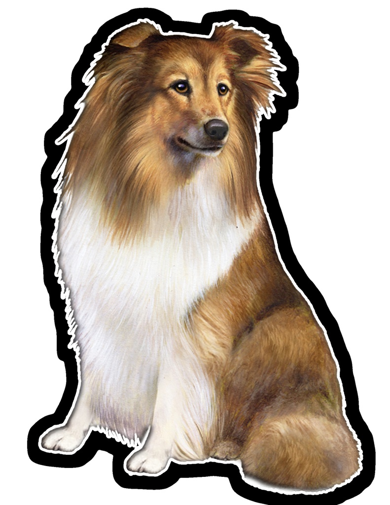 Sheltie Sticker