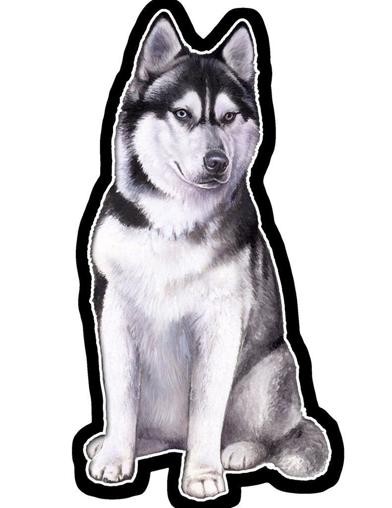 Siberian Husky Sticker