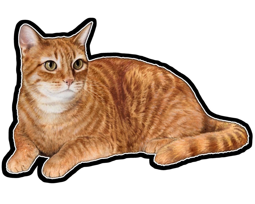 Orange Tabby Sticker