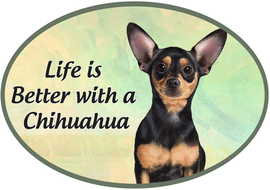 Chihuahua, black Euro Magnets