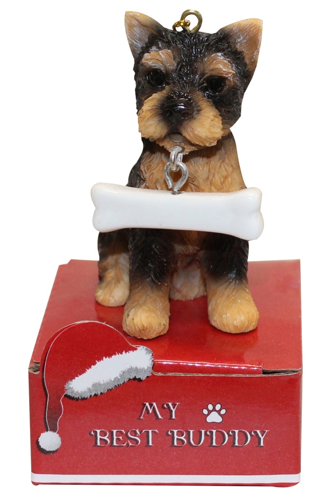 YORKIE PUP