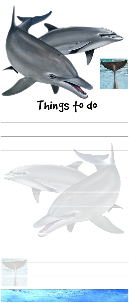 Dolphins Notepads, Magnetic Tall Die-Cut