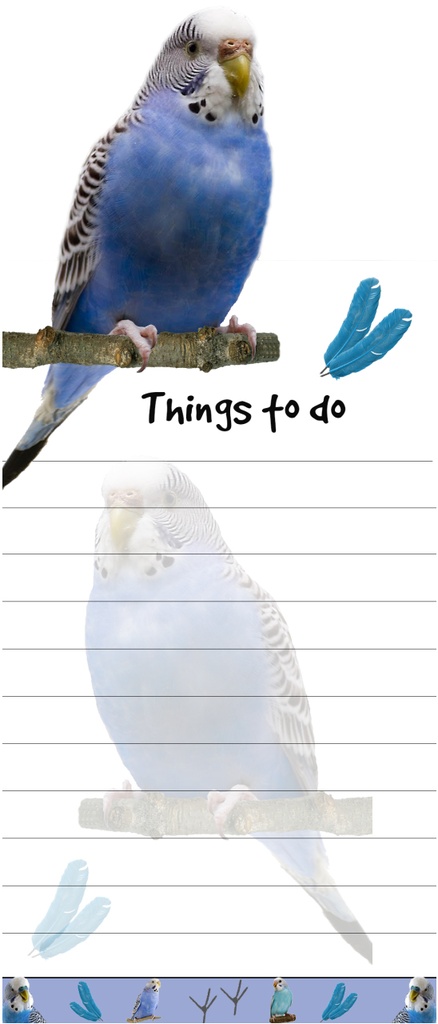Parakeet Notepads, Magnetic Tall Die-Cut