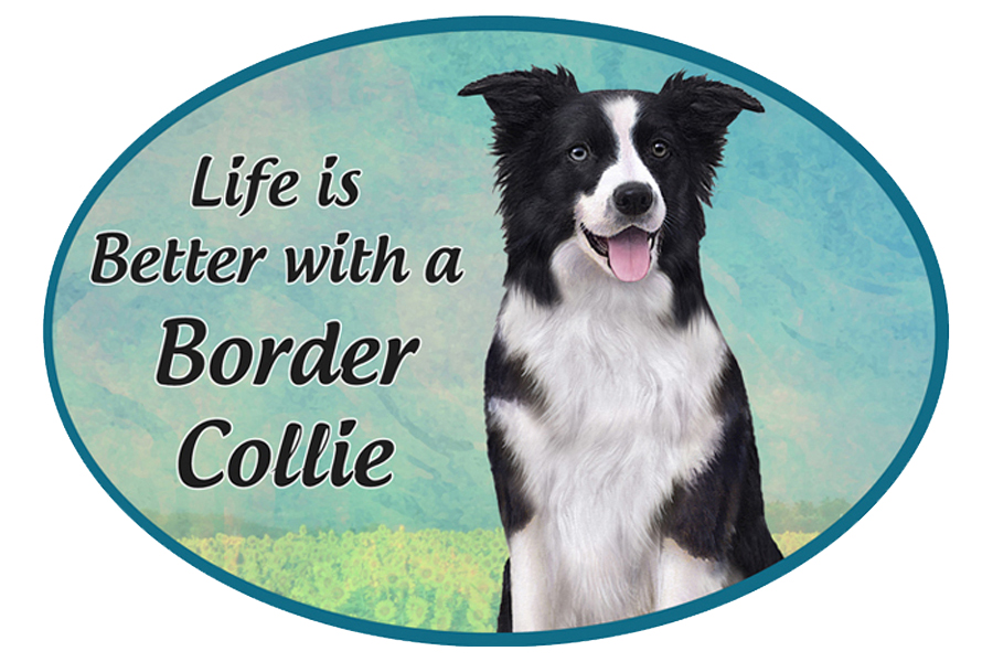 Border Collie car magnets, oval