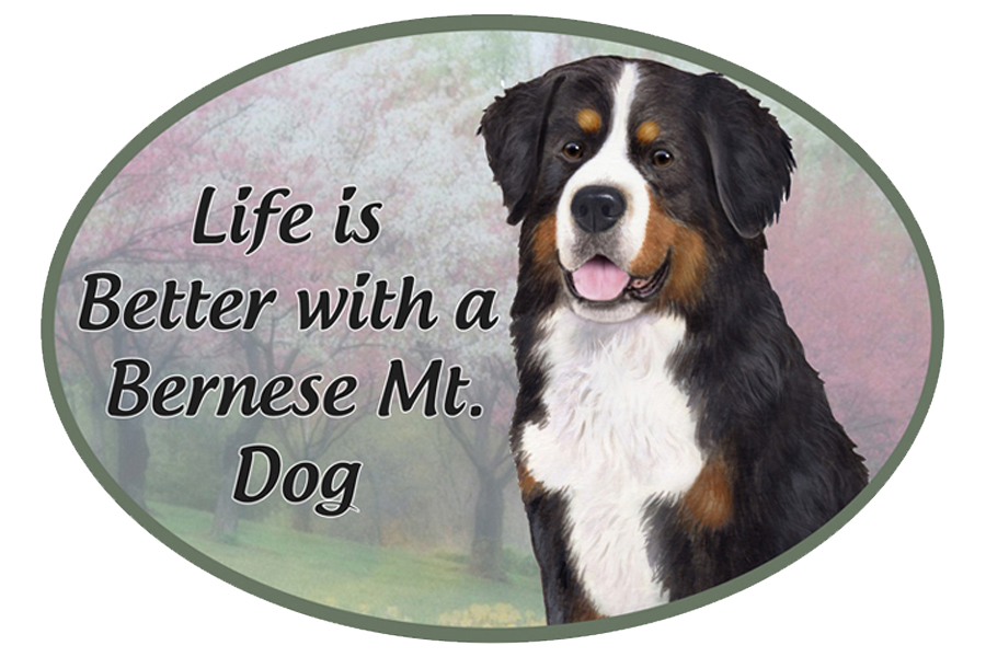 Bernese Mt. Dog  car magnets, oval