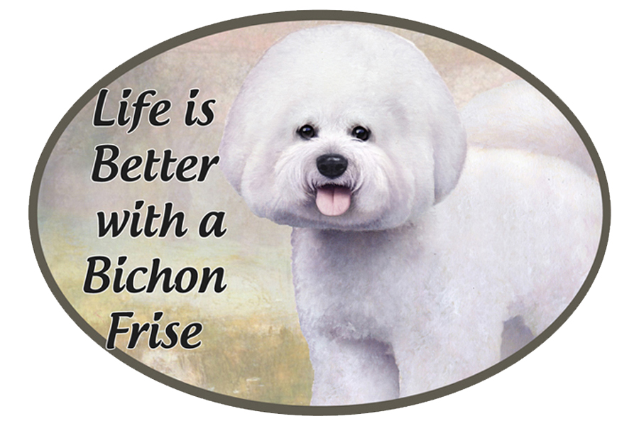 Bichon Frise car magnets, oval
