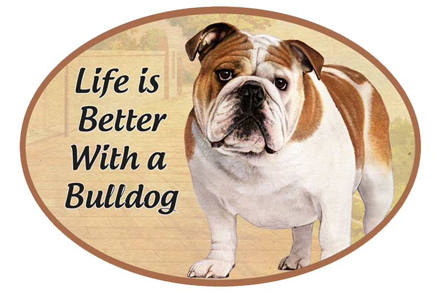 Bulldog car magnets, oval