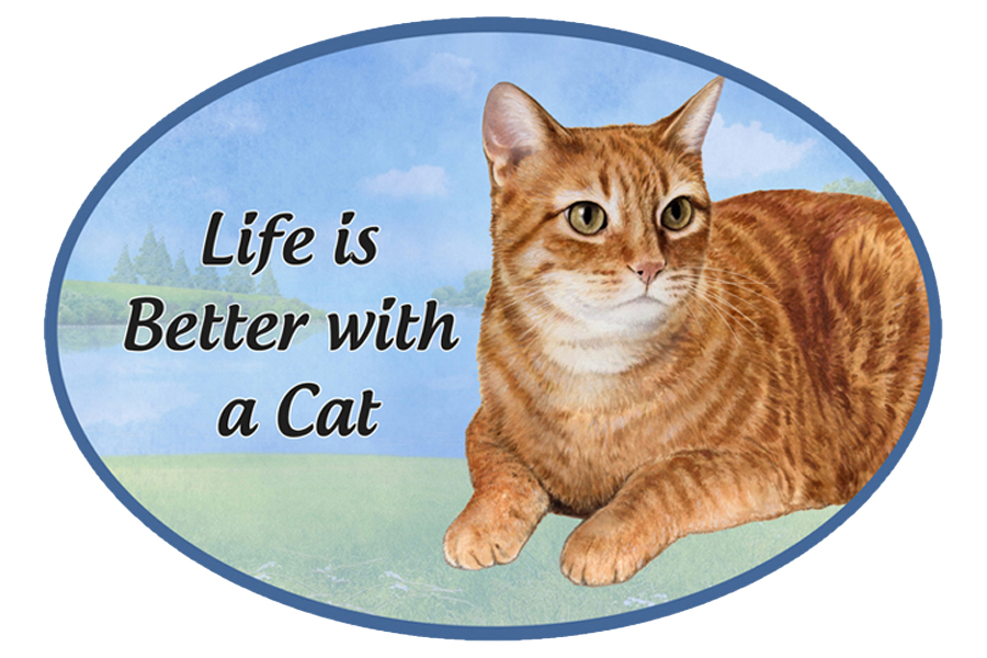 Tabby, orange  car magnets, oval