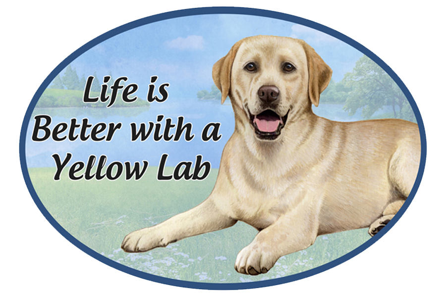 Labrador, yellow car magnets, oval