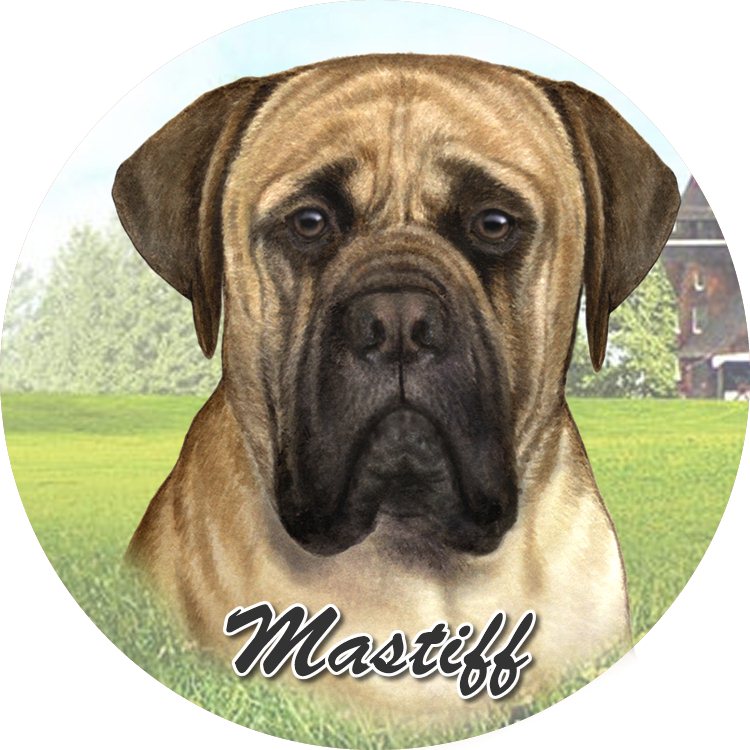 English Mastiff Car Coaster