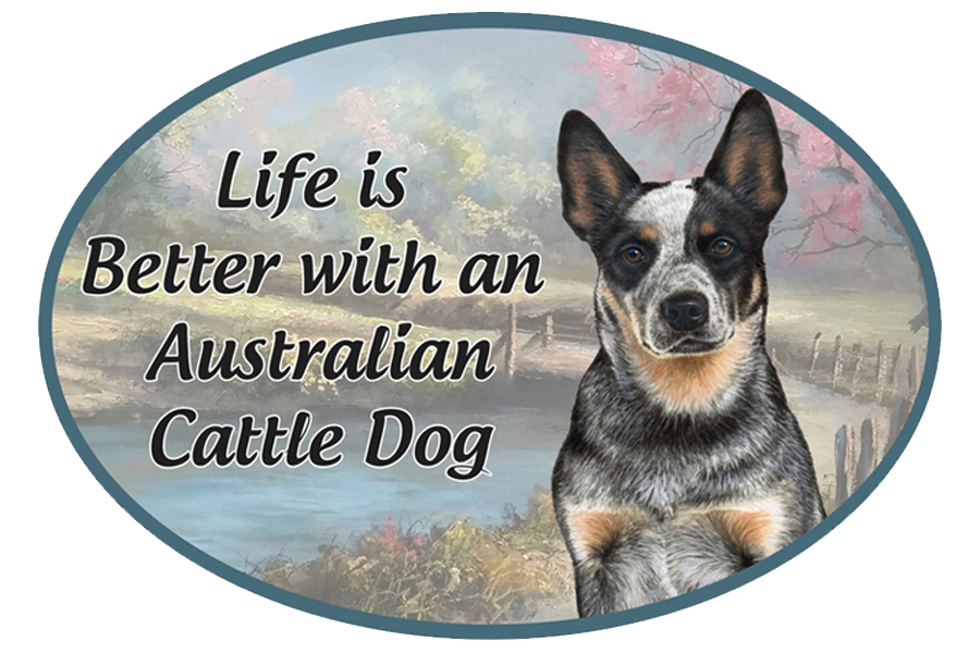 Australian Cattle Dog car magnets, oval
