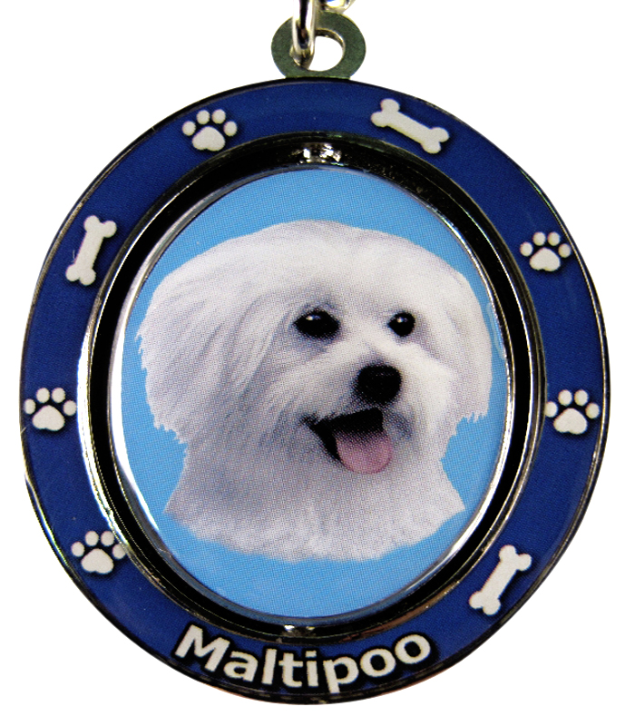 Maltipoo Keychain