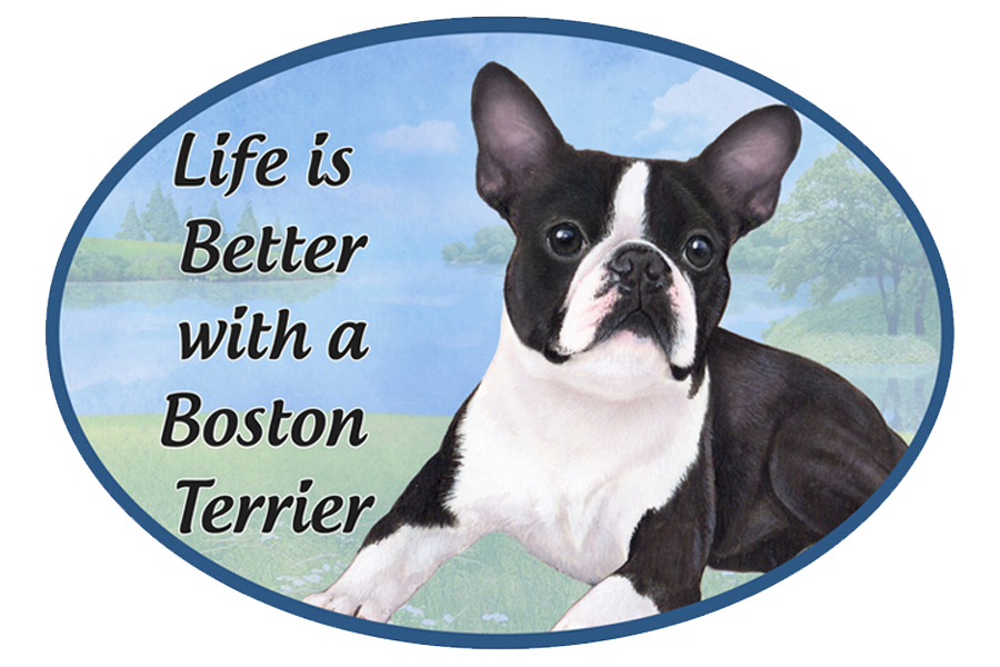 Boston Terrier car magnets, oval