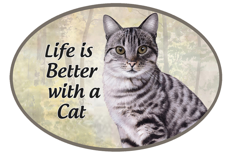 Tabby, silver car magnets, oval