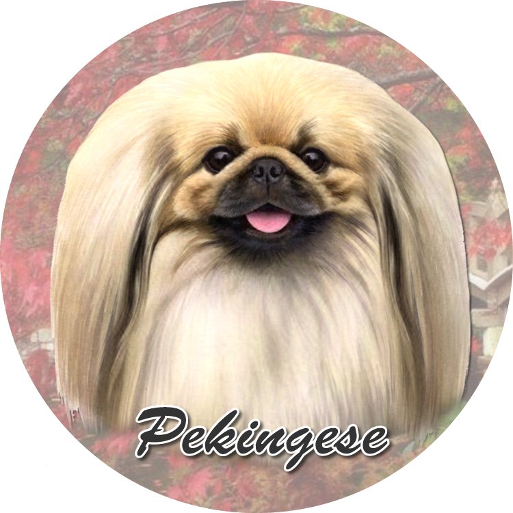 Pekingese Car Coaster