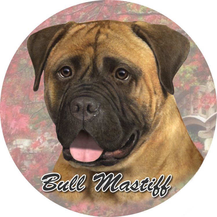 Bull Mastiff Car Coaster
