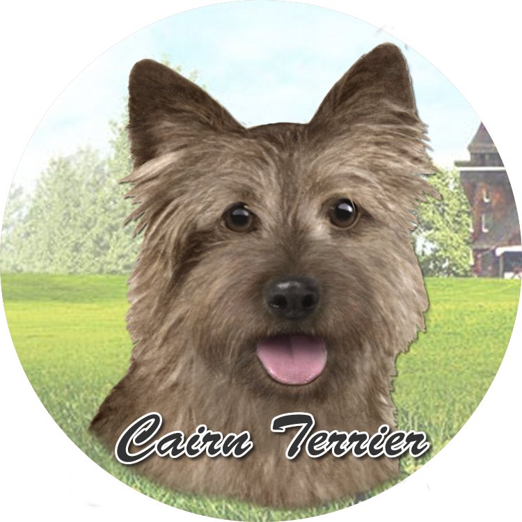 Cairn Terrier Car Coaster