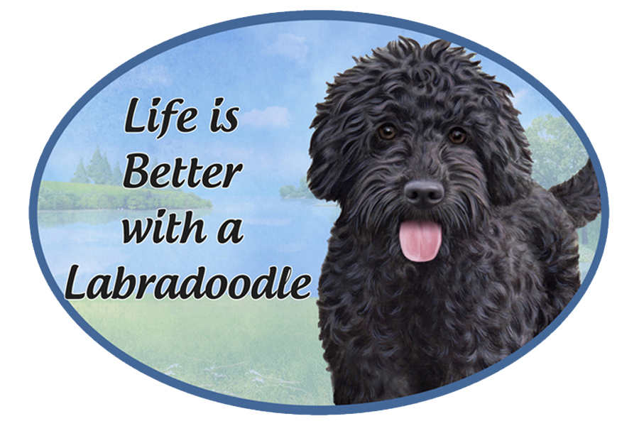 Labradoodle car magnets, oval
