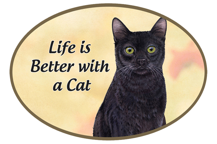 Black Cat car magnets, oval