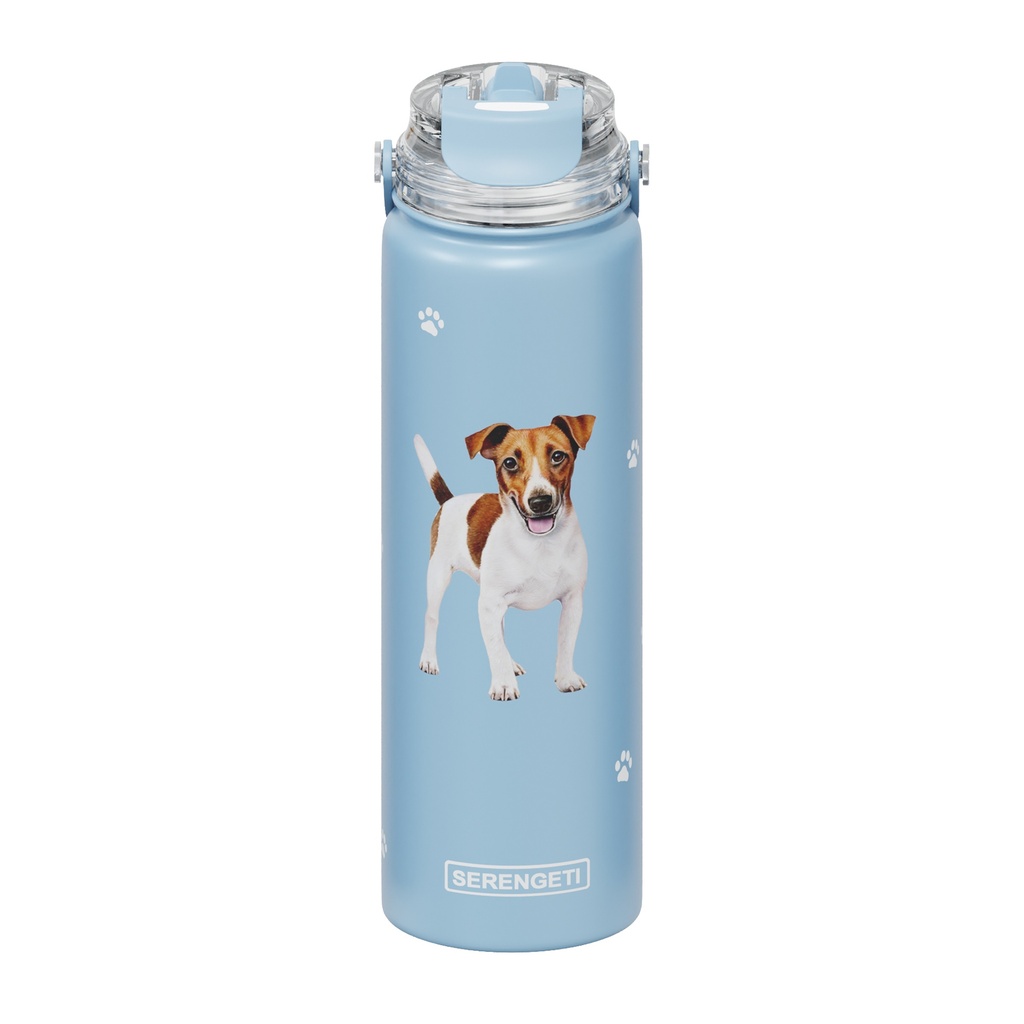 Jack Russell Terrier water bottle
