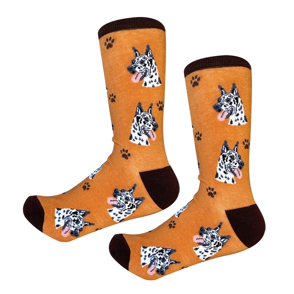 Great Dane, Harlequin  Socks