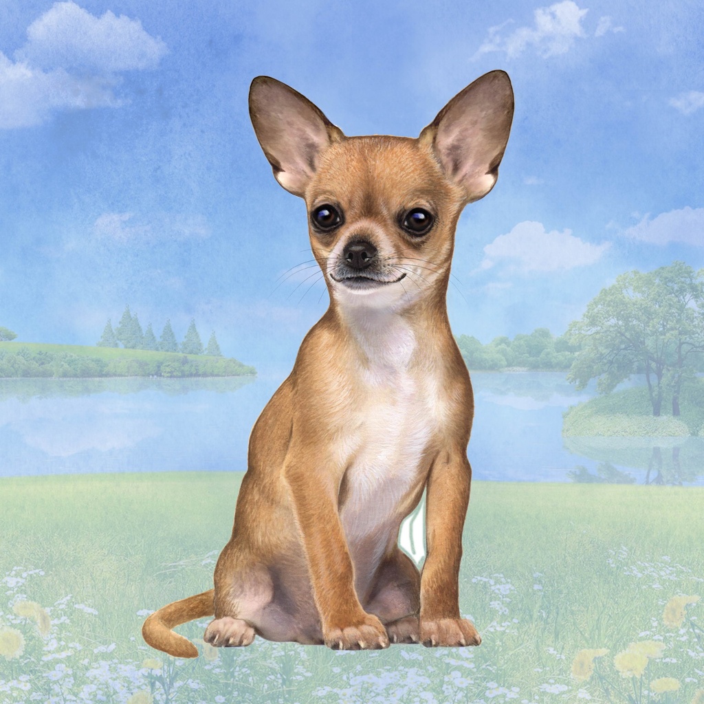 Chihuahua, fawn Tote, foldable