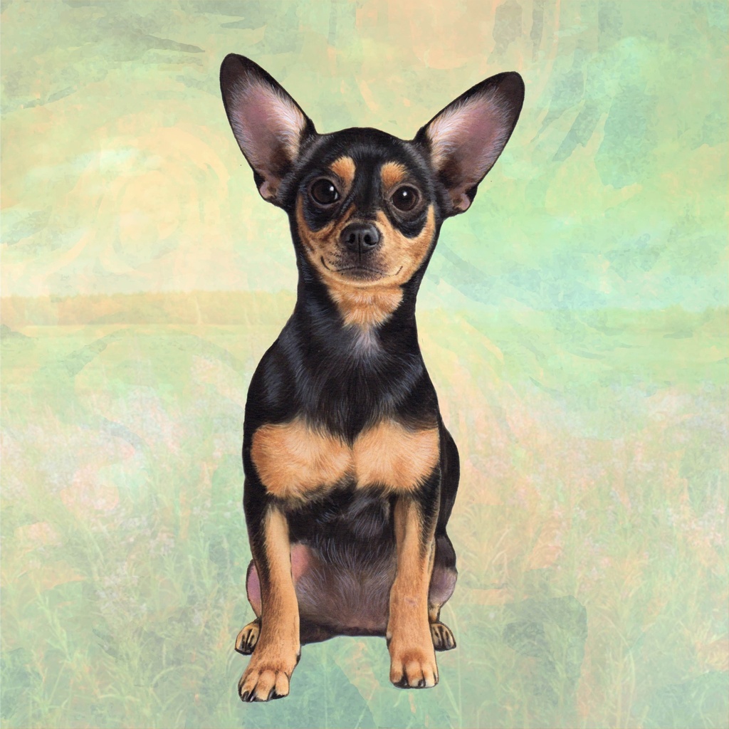 Chihuahua, black Tote, foldable