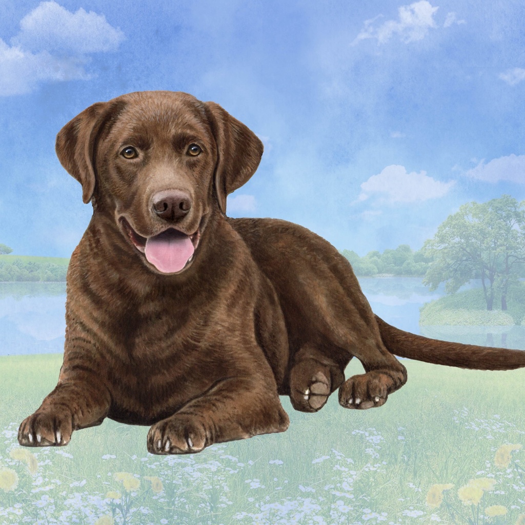 Labrador, chocolate Tote, foldable