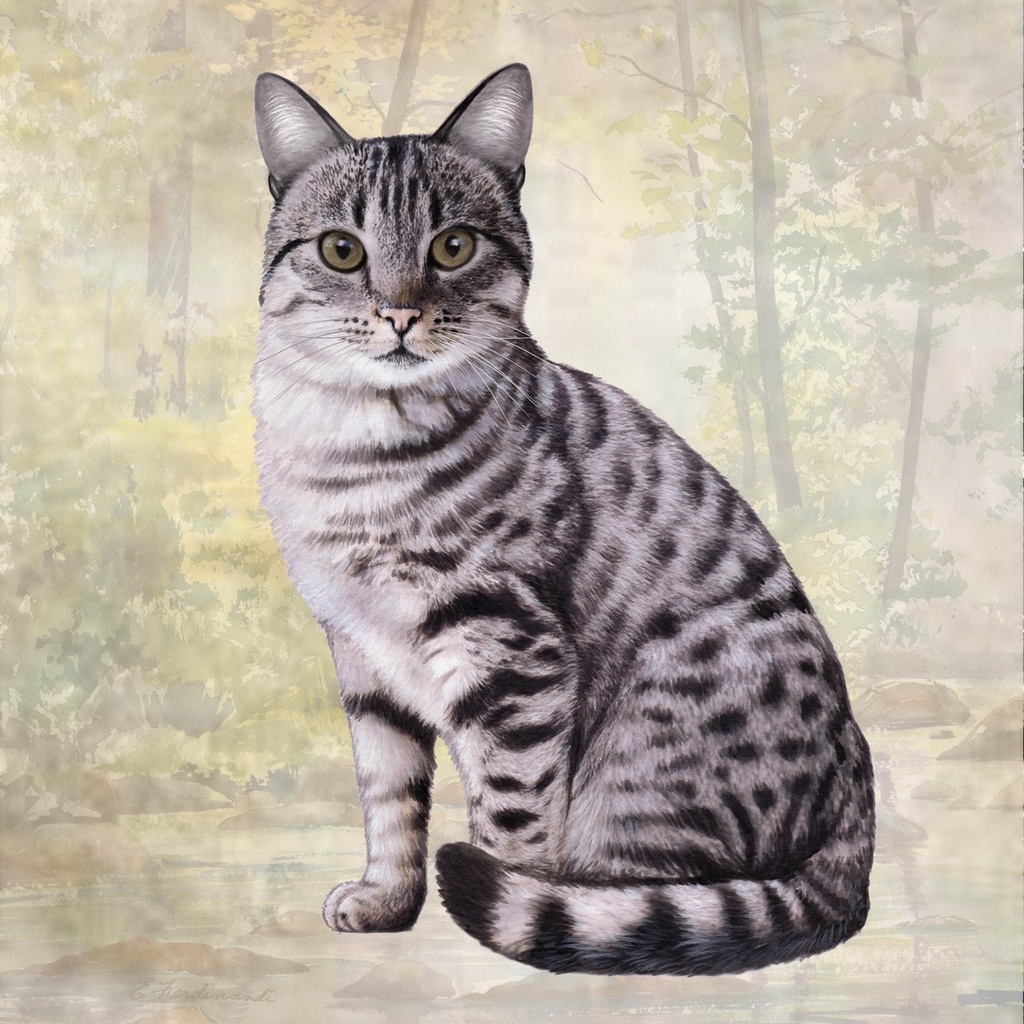 Tabby, Silver Tote, foldable