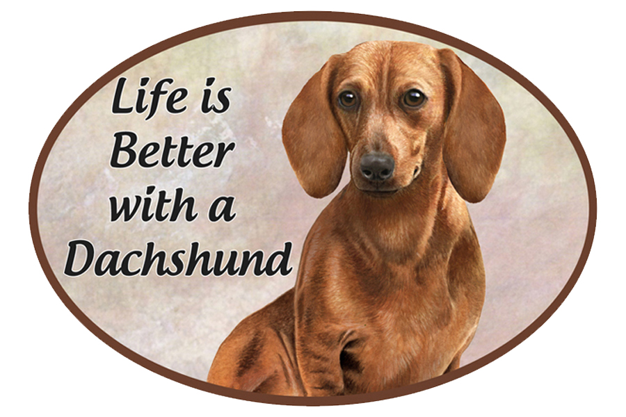 Dachshund, red car magnets, oval