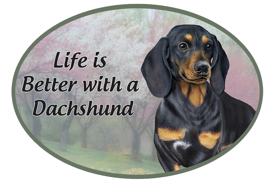 Dachshund, black car magnets, oval