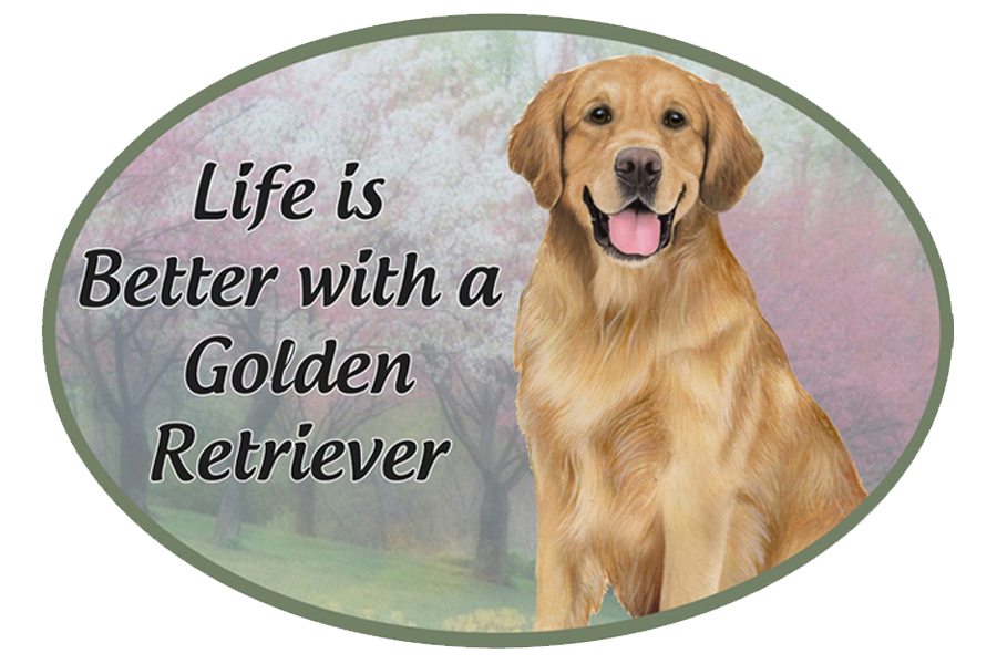 Golden Retriever car magnets, oval