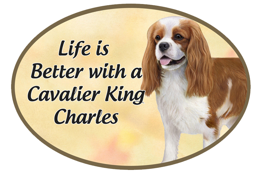 King Charles Cavalier  car magnets, oval