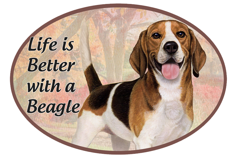 Beagle car magnets, oval