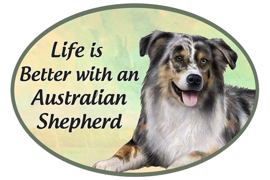 Australian Shepherd car magnets, oval
