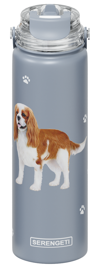 King Charles Cavalier water bottle
