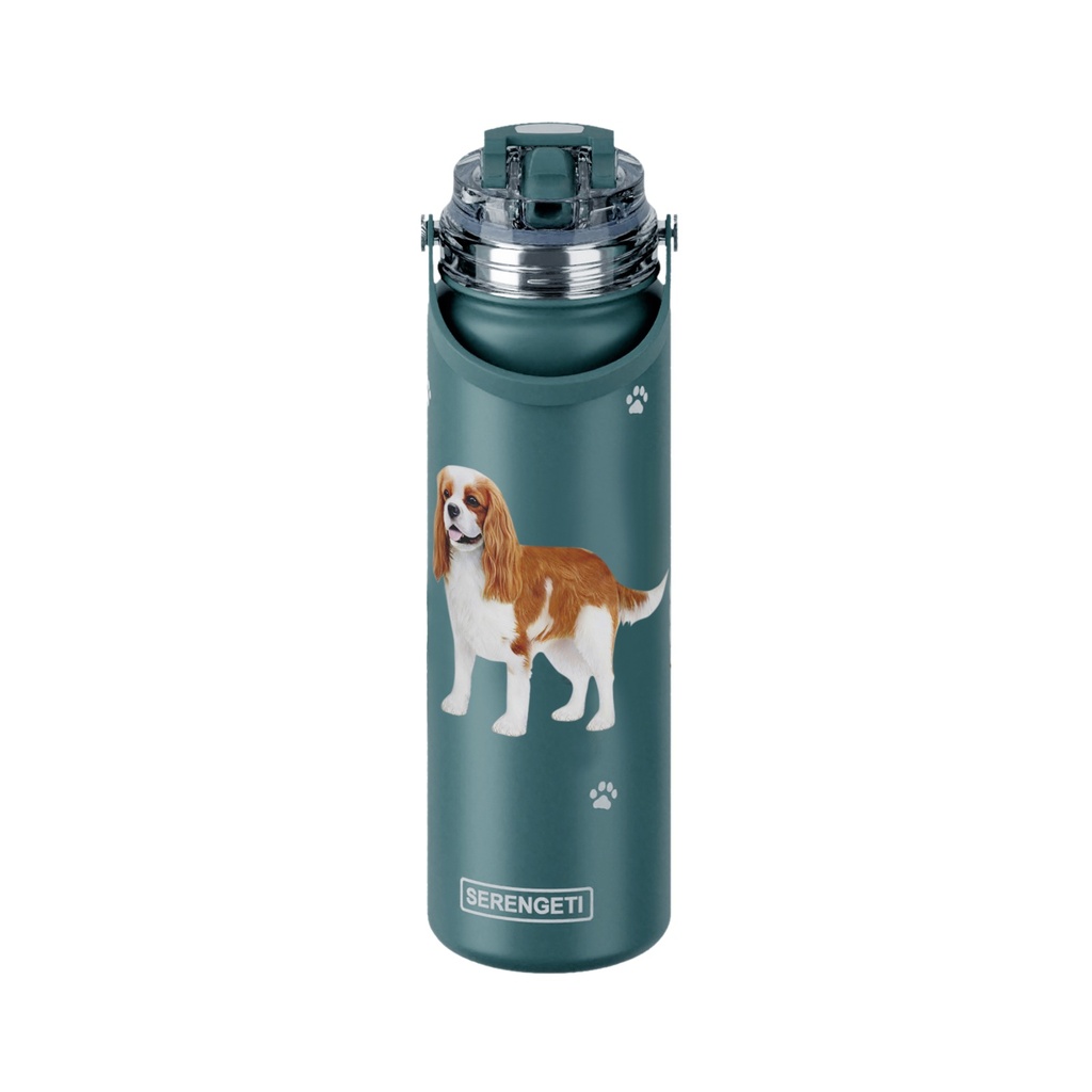 King Charles Cavalier water bottle