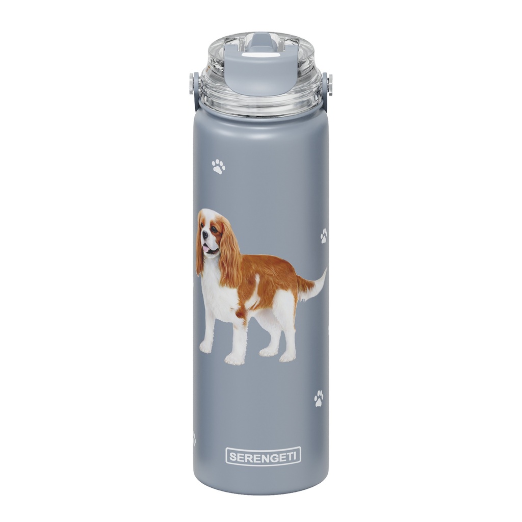 King Charles Cavalier water bottle