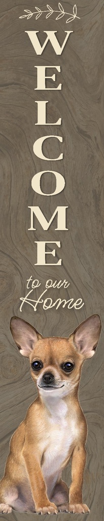 Chihuahua, tan porch, welcome sign