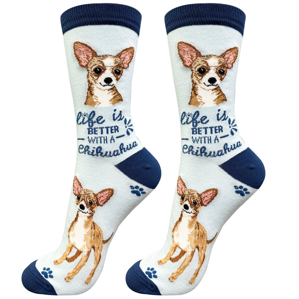 Chihuahua, fawn socks, life is better