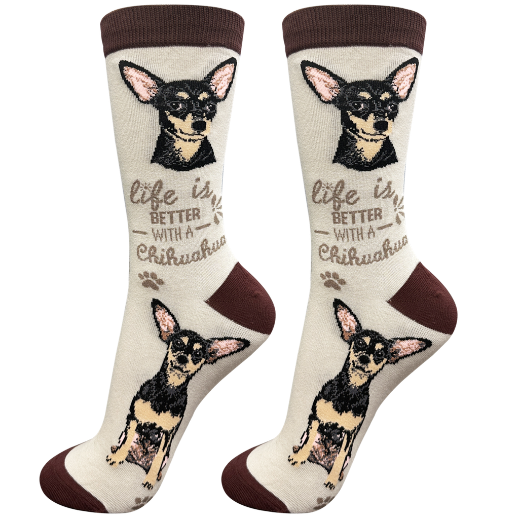 Chihuahua, black socks, life is better