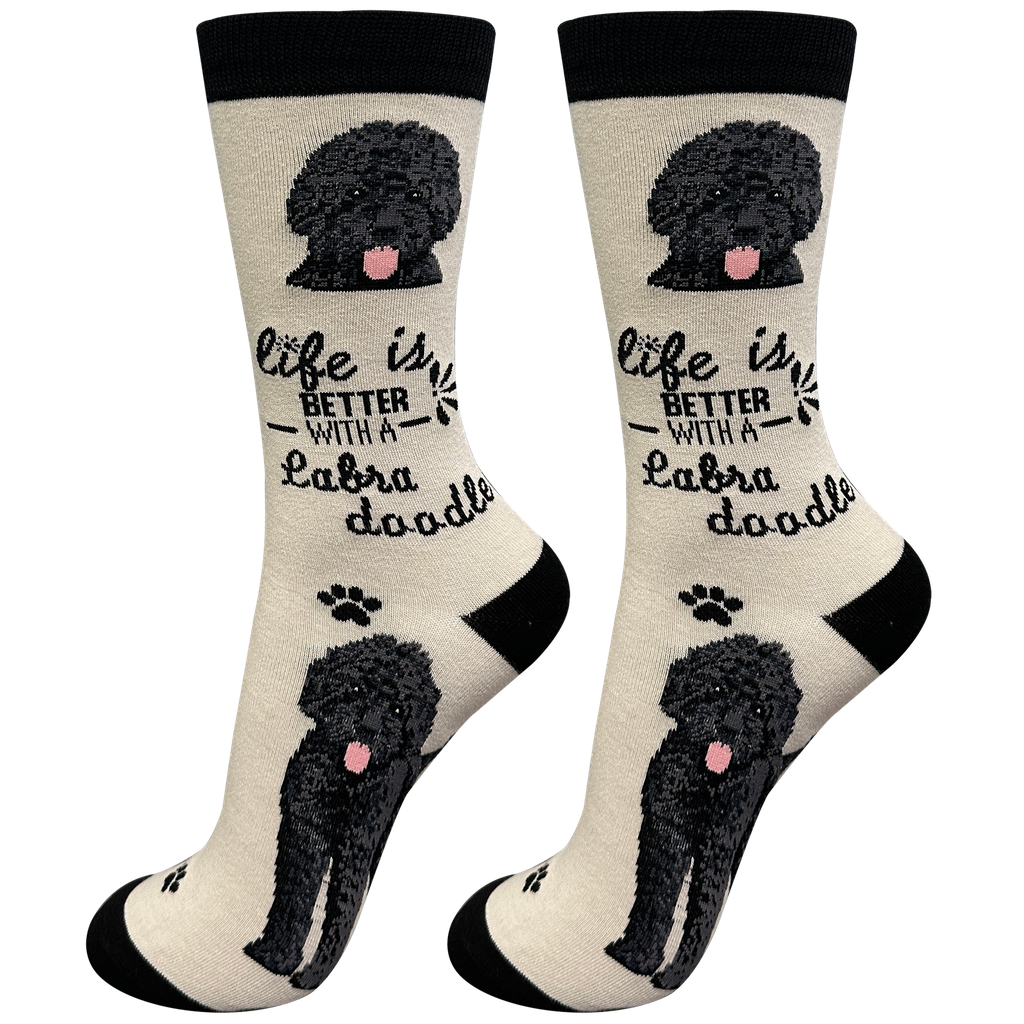 Labradoodle, black socks, life is better
