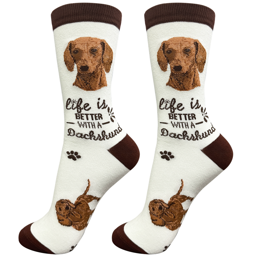 Dachshund, red socks, life is better