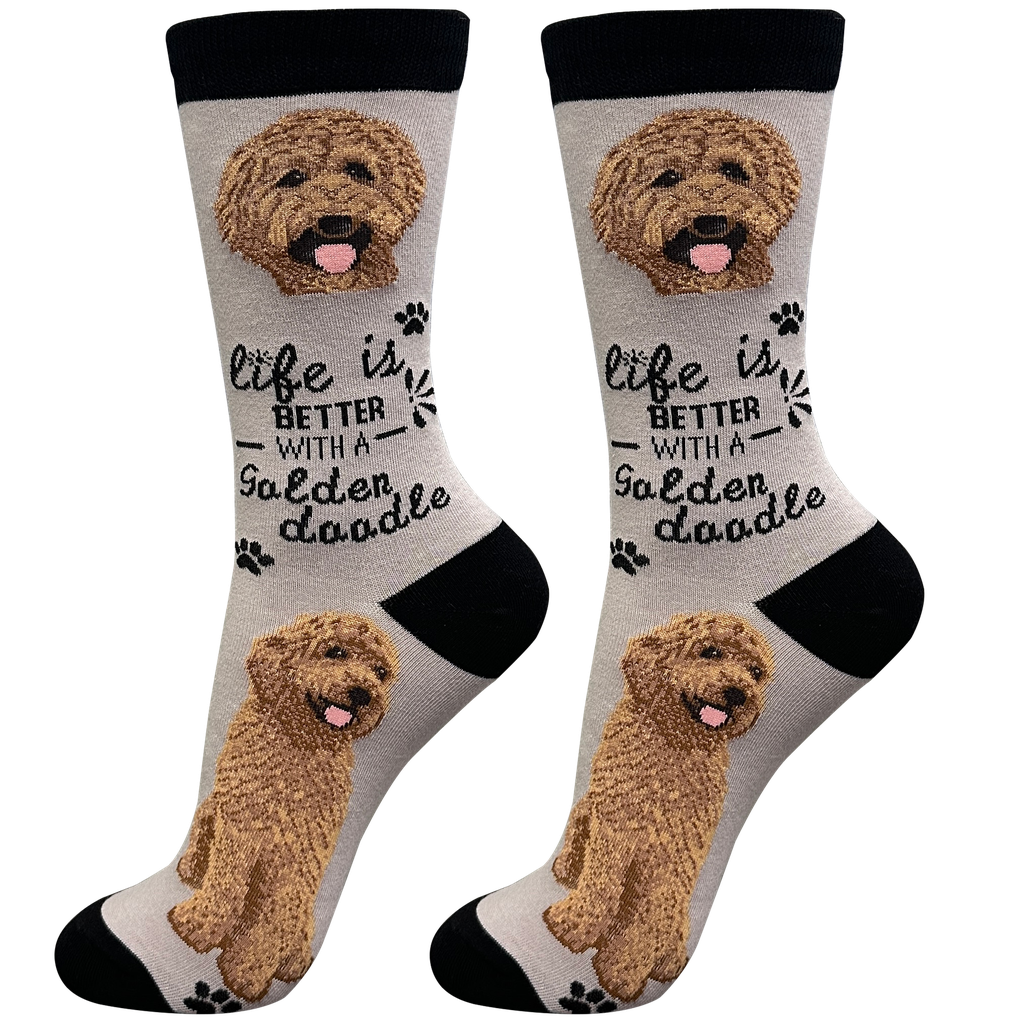Goldendoodle Red  socks, life is better