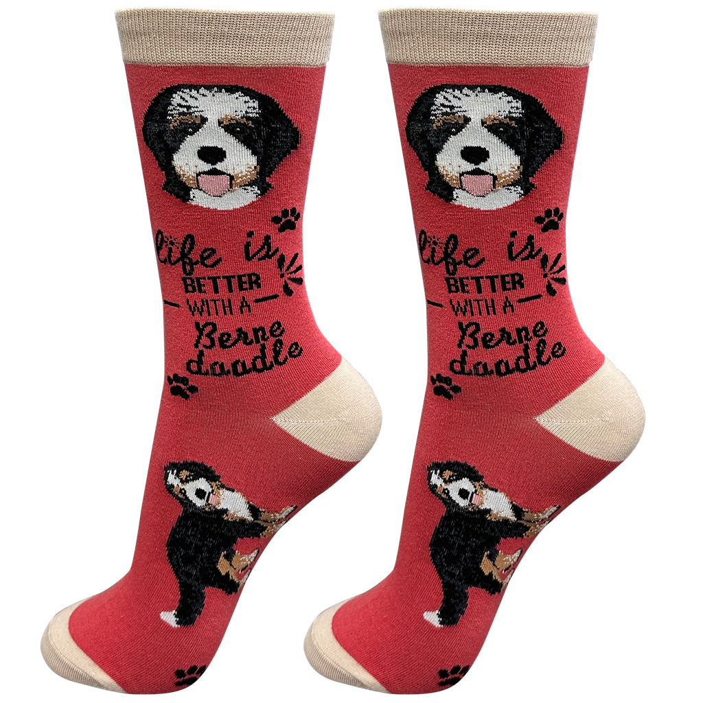 Bernadoodle socks, life is better