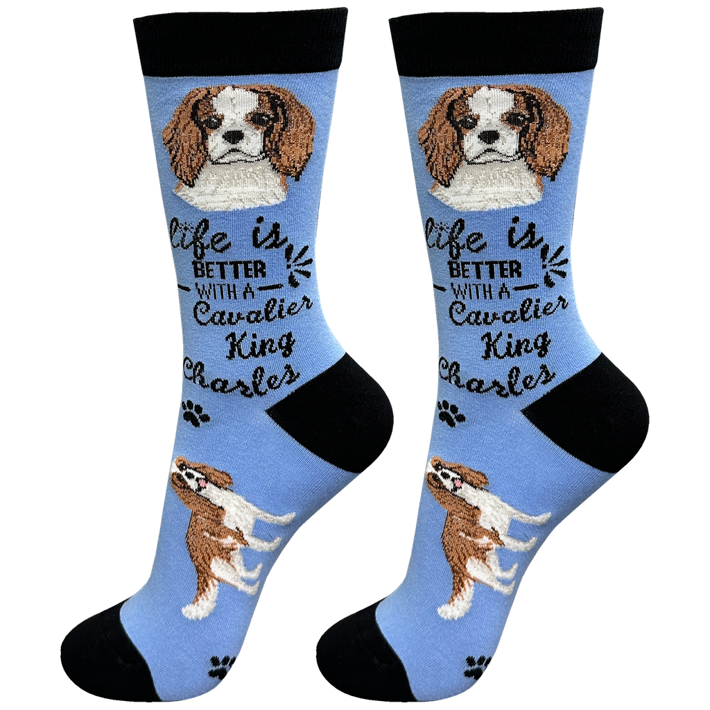 Cavalier King Charles socks, life is better