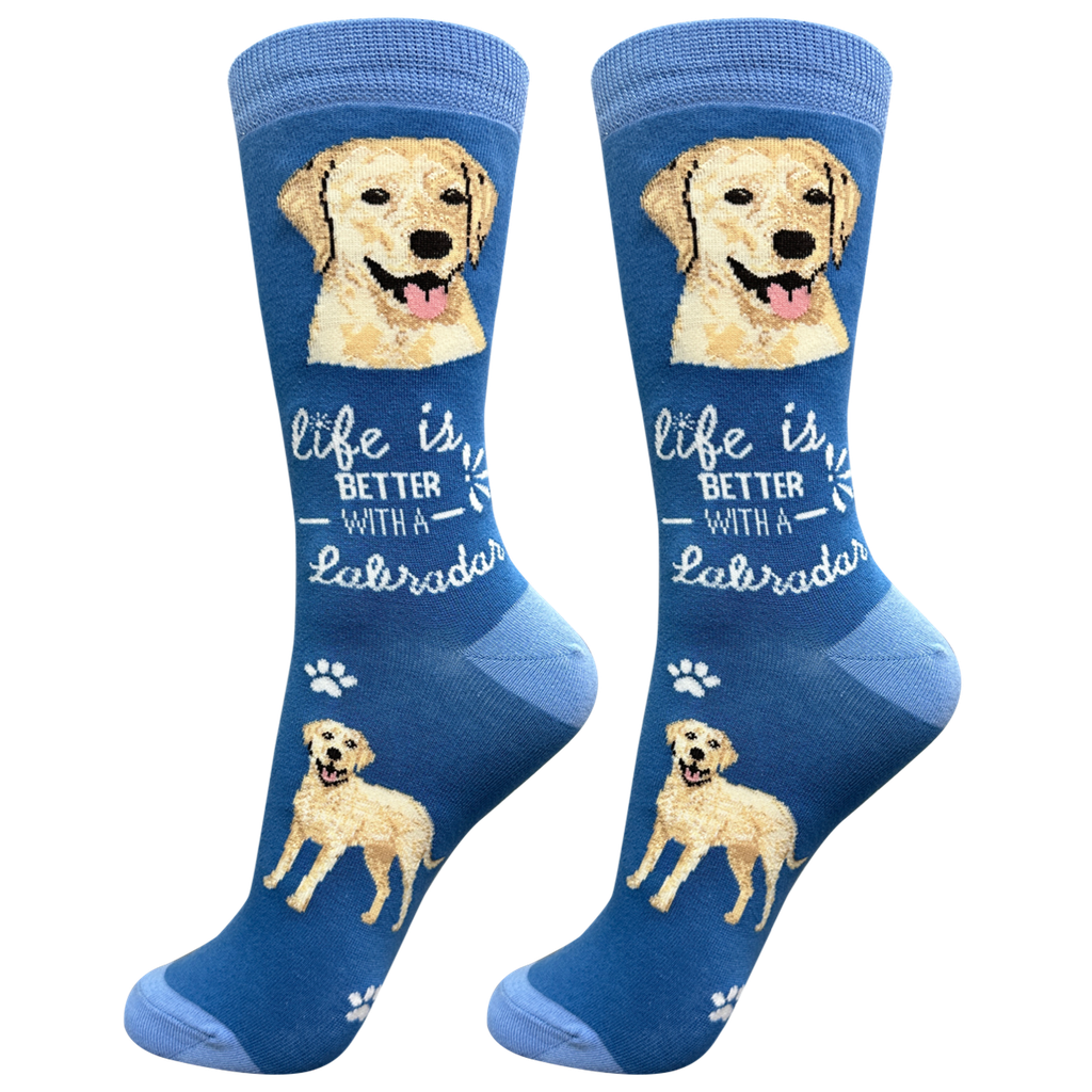 Labrador, yellow socks, life is better